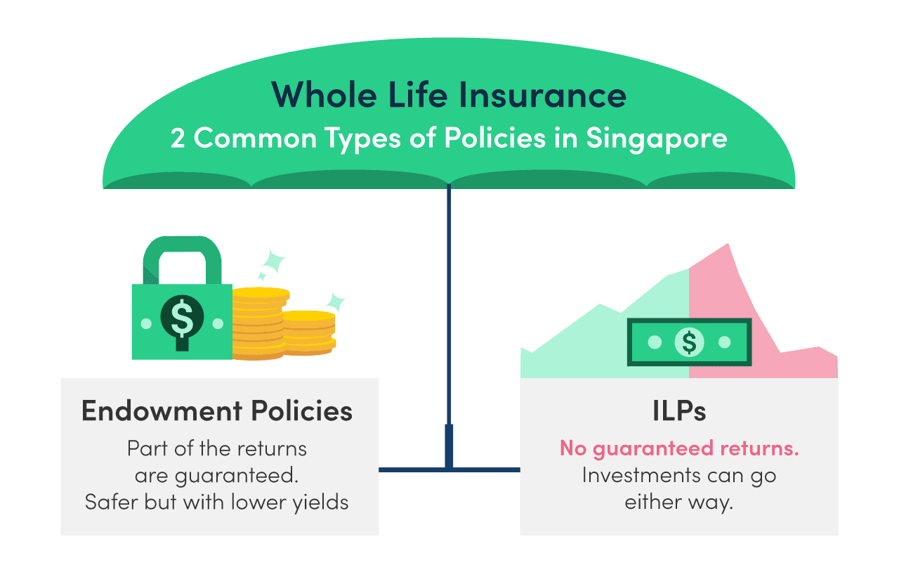Best Endowment Plans in Singapore 2024 (+Tips) MoneySmart
